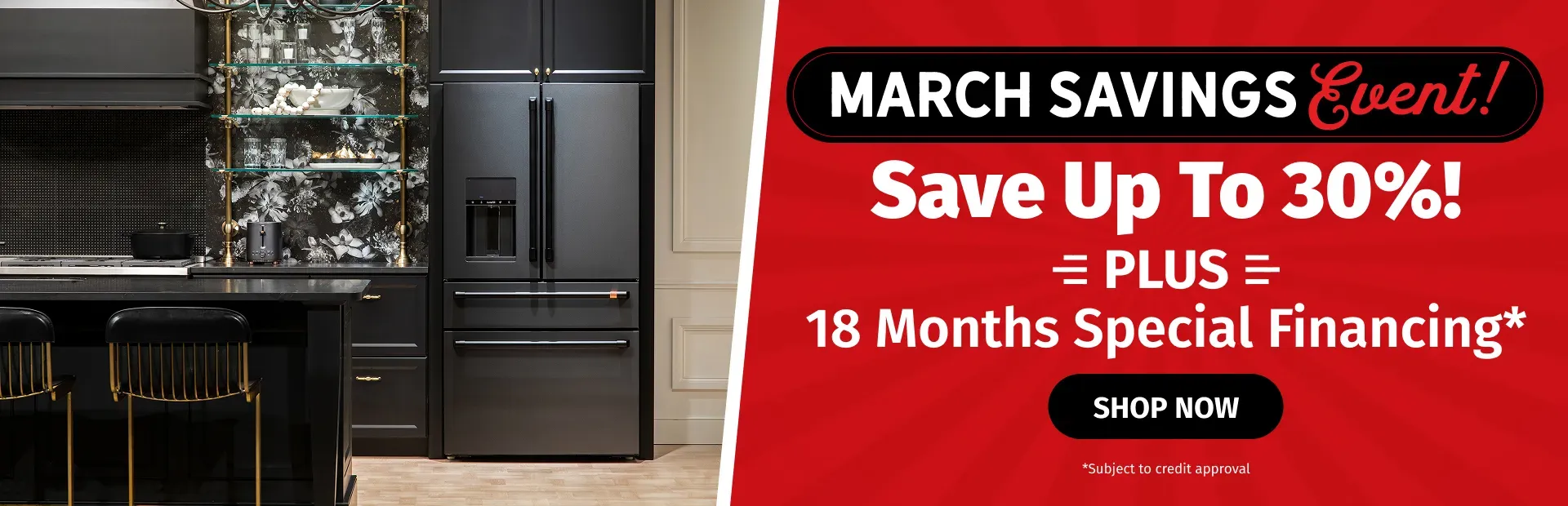Homepage Appliance Banner March Savings